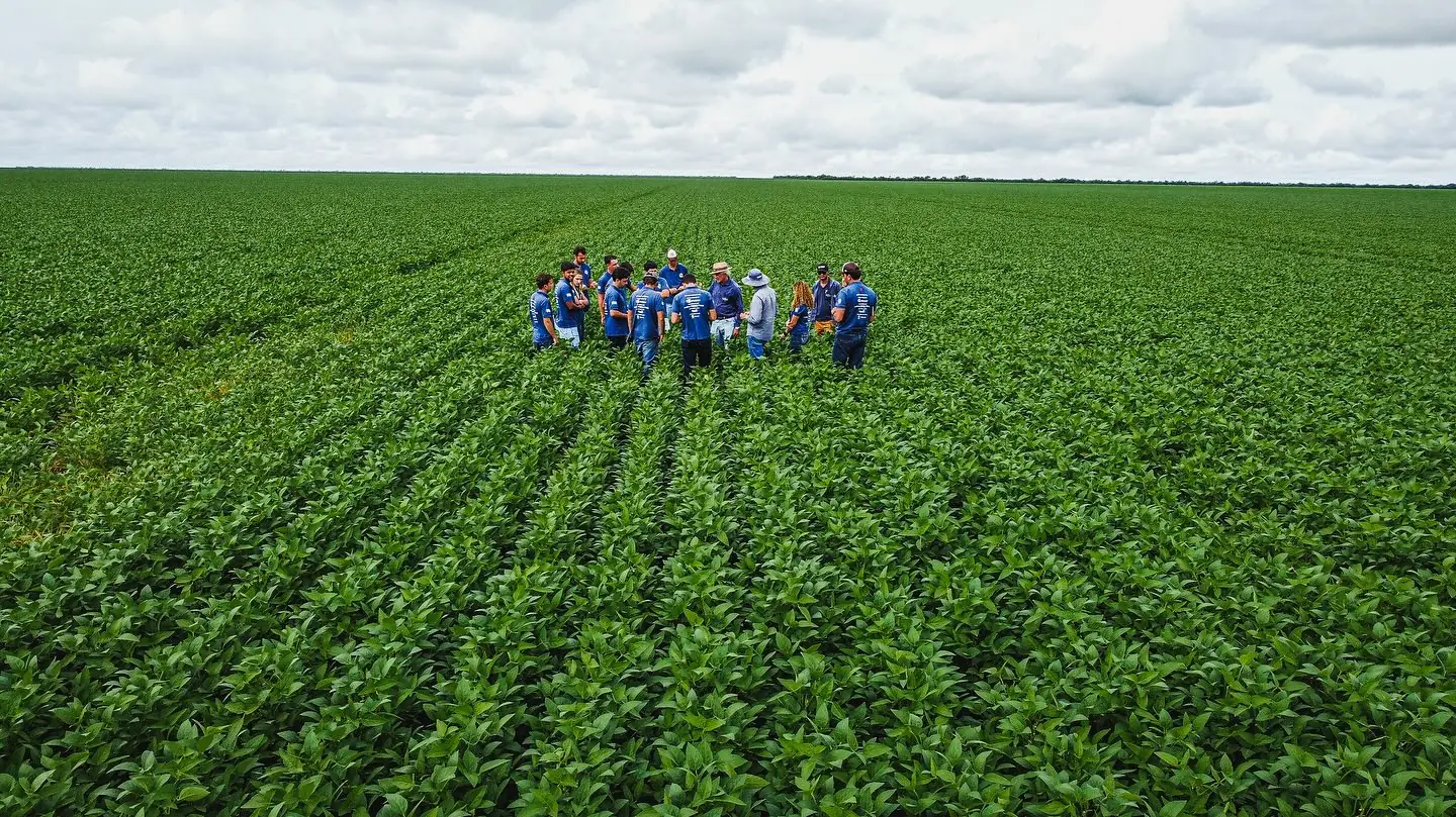 Grupo de visitantes reunido no meio da lavoura de soja, visto de drone
